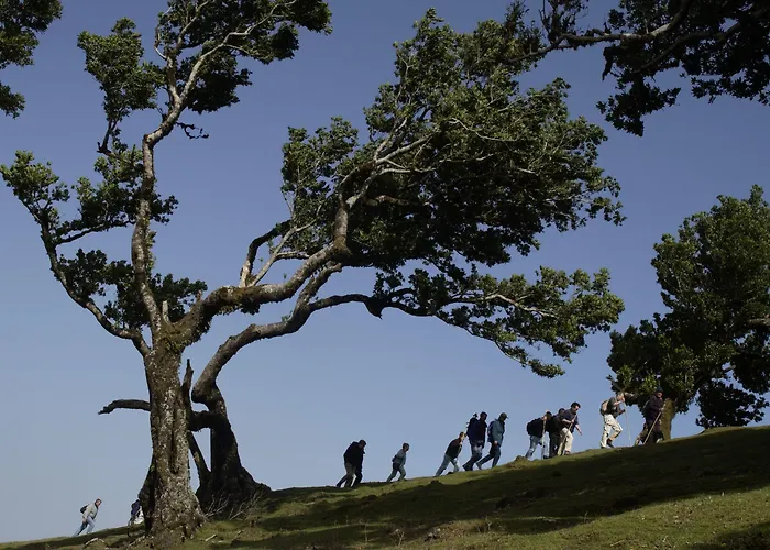 Sentido Galomar - Adults Only 4*