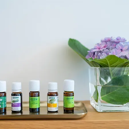 Sentido Galomar - Adults Only