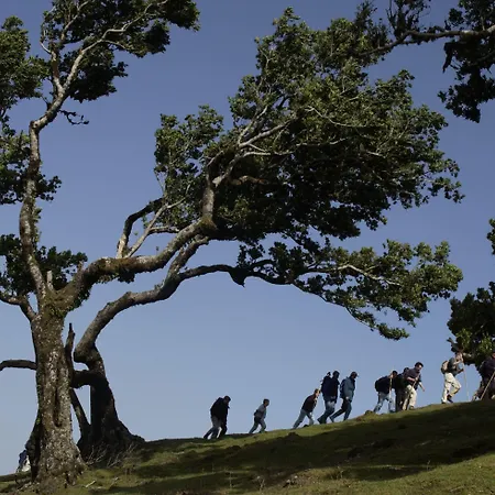 Sentido Galomar - Adults Only 4*